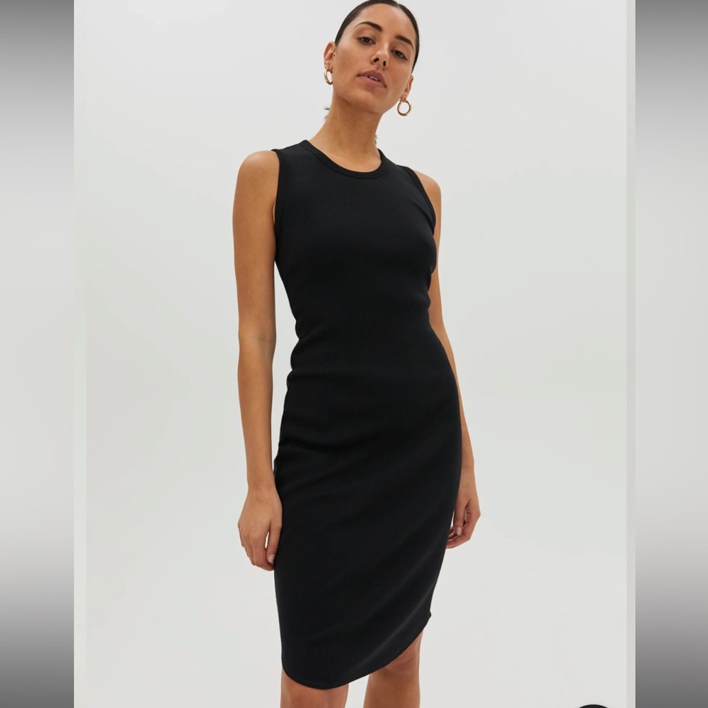 Aritzia Community Sleeveless Dress